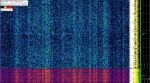 5 February 2020, 16:50