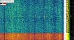 28 February 2020, 4:34