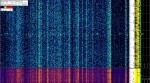 28 February 2020, 7:29