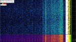29 February 2020, 19:14