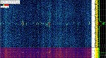 3 March 2020, 3:05