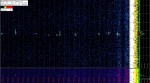 3 March 2020, 16:40