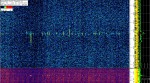 12 March 2020, 7:21
